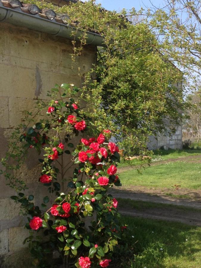 B&B Château Pierre de Lune Saint-Émilion Chambre photo